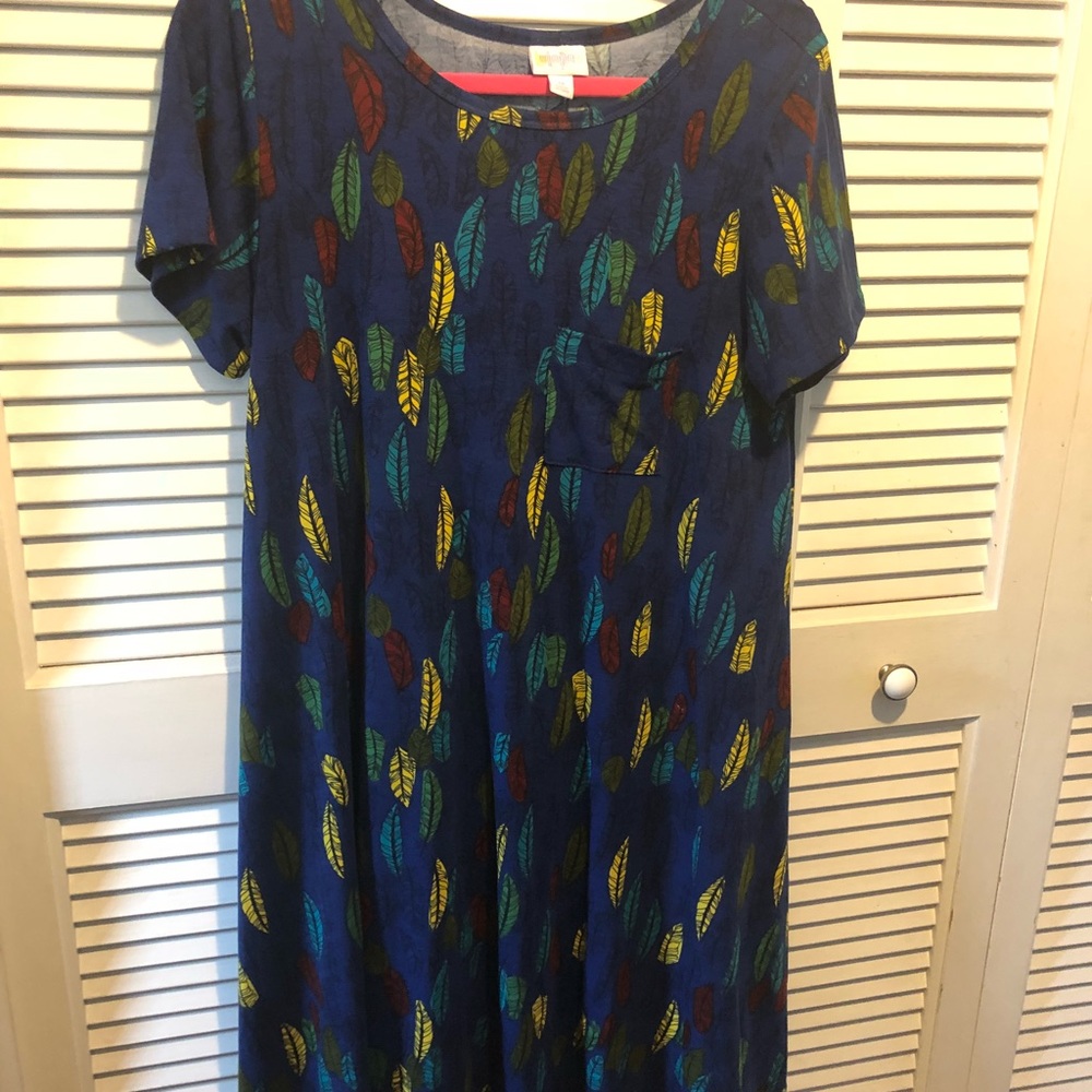 Lularoe Medium Carly EUC